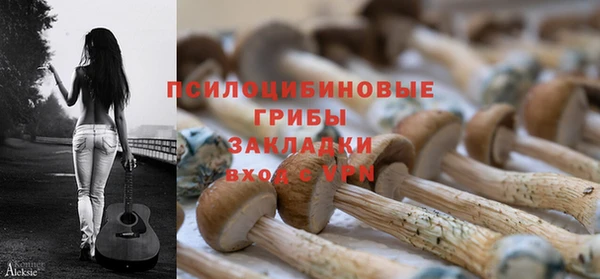 герыч Козельск