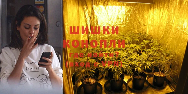 гашик Костерёво